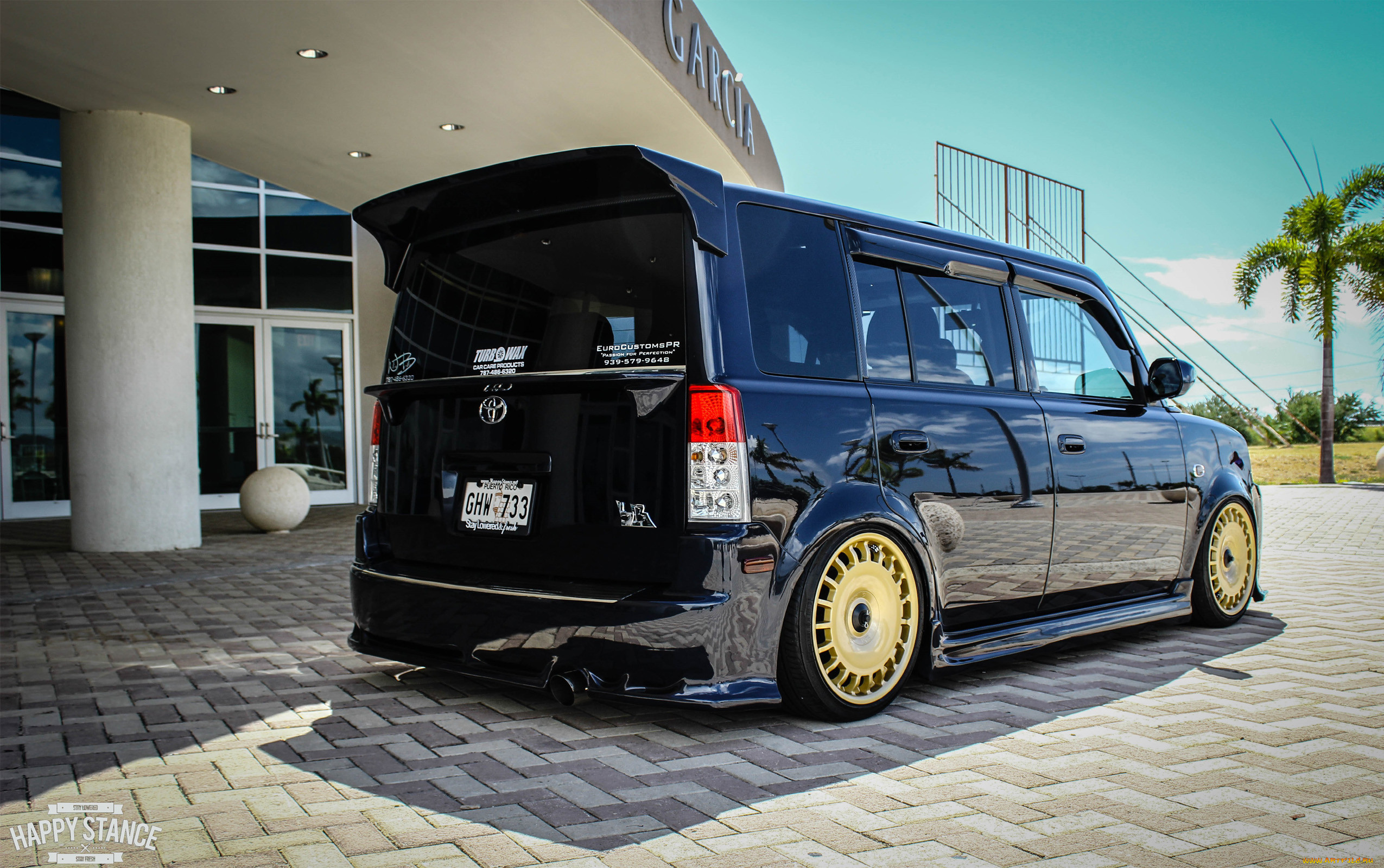 , scion